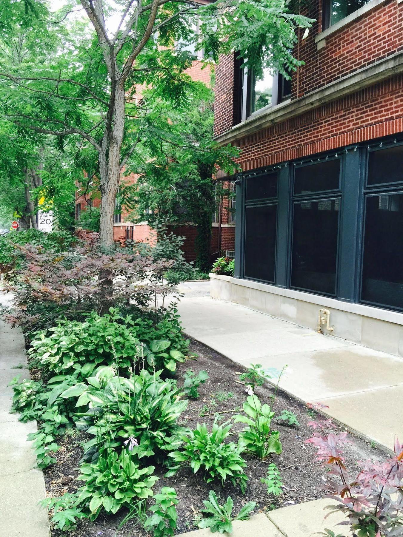 House 5863- Chicago'S Premier Bed And Breakfast Exteriör bild